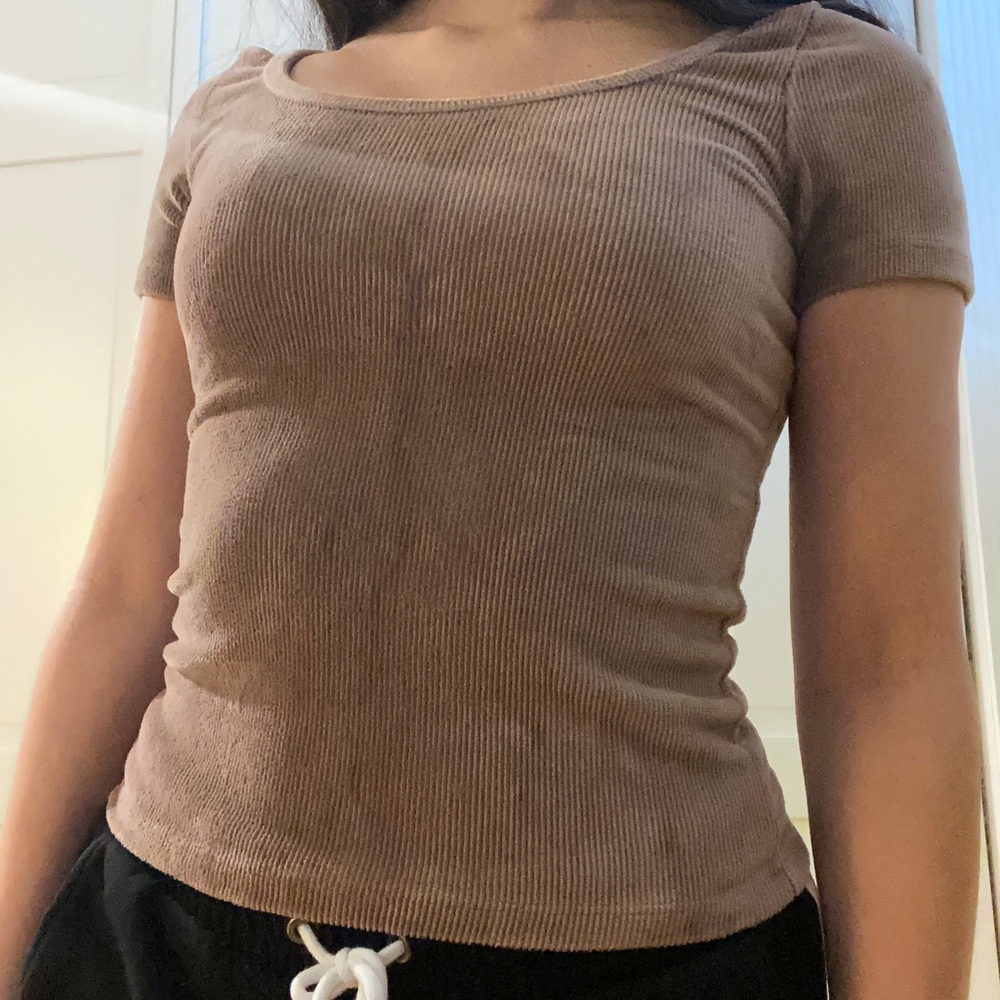 Brown/Tan Hollister Top